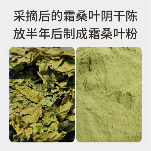 黑芝麻纯素霜桑叶麦芽糖食圆600g【300g*2瓶】 商品图6