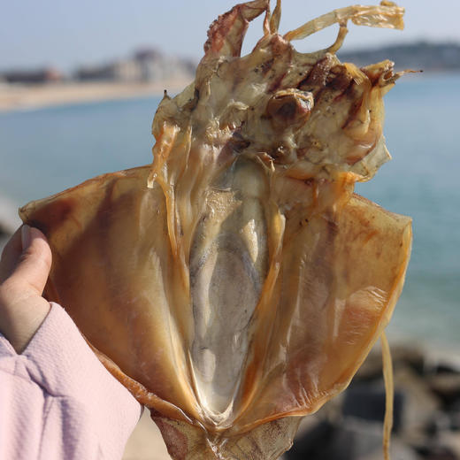 东山岛|鲜晒墨鱼|干野生特级干货 |煲汤煲粥好食材 商品图4