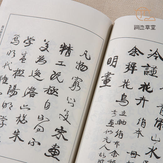 【绝版好书】康有为手稿《万木草堂藏中国画目》32开220页，2011年文史哲初版 商品图7