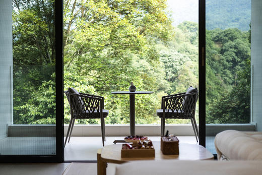 【雅安-387号院】6房温泉私汤小院，碧峰峡景区旁，观景庭院，儿童游玩、地暖、投影、亲子滑滑梯房qccw 商品图1