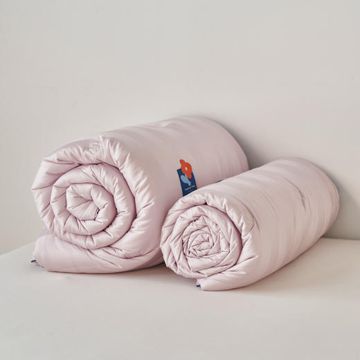 自然醒A类杜邦抗菌防螨被子被芯春秋被冬被棉被褥加厚保暖LFS 商品图12