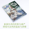 黑鹤给孩子的生命智慧（5册） 商品缩略图2