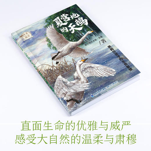 黑鹤给孩子的生命智慧（5册） 商品图2