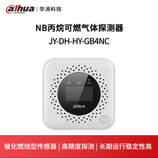 NB丙烷可燃气体探测器JY-DH-HY-GB4NC 商品图0