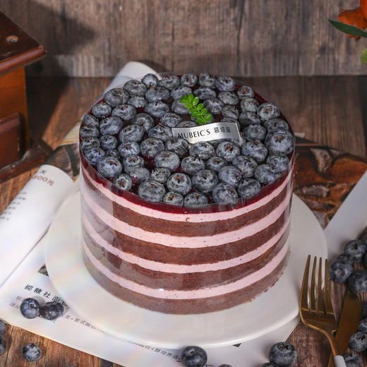 蓝莓多多S56（停用） 商品图3