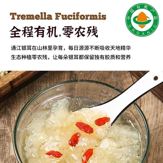 四川通江有机椴木干银耳小朵易泡发出胶   基地直邮 商品图2