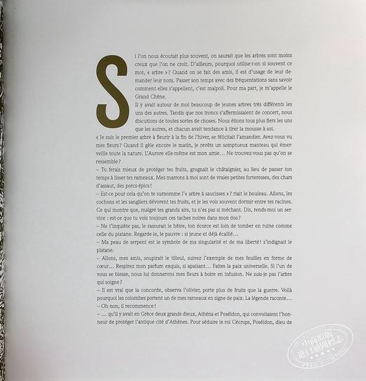 【中商原版】Frederic Pillot 古老橡树的记忆 绘本插画小说 法文原版 Les souvenirs du vieux chene 法国知名插画家 商品图6