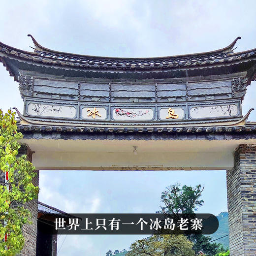 【傣陶冰岛老寨】2017年头春普洱茶生茶散茶800g/罐 商品图2