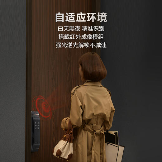 LR【德施曼华为智选pro指纹锁家用密码锁】DSM 商品图5
