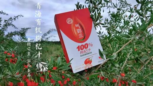 气如兰有机鲜枸杞/有机枸杞汁 商品图0