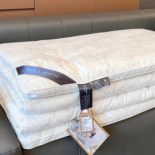 卡芙丽3M超柔抗菌冬被 商品图3