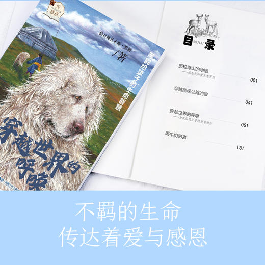 黑鹤给孩子的生命智慧（5册） 商品图0