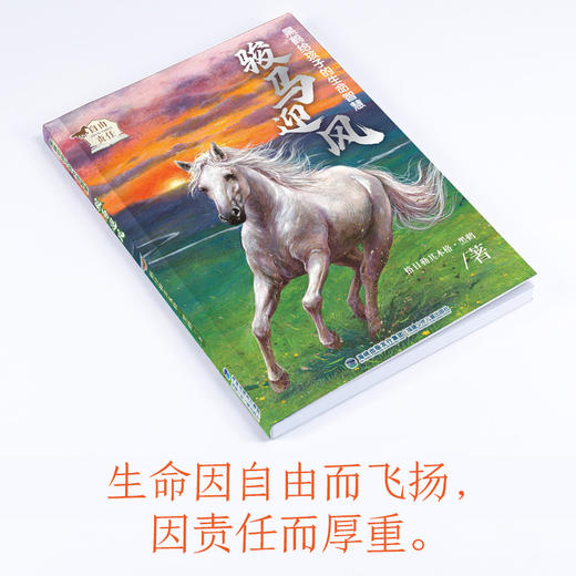 黑鹤给孩子的生命智慧（5册） 商品图1