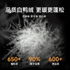 【新款DGD】大依优型大码羽绒服90白鸭绒翻领外套休闲胖子大码男休闲宽松加肥加大上衣 商品缩略图7