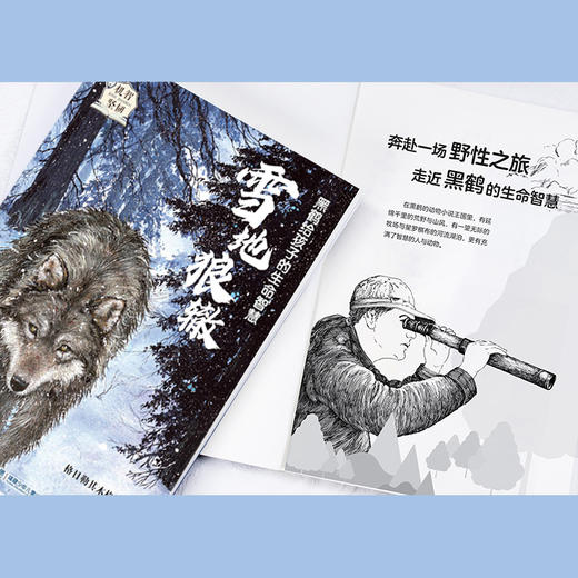 黑鹤给孩子的生命智慧（5册） 商品图4