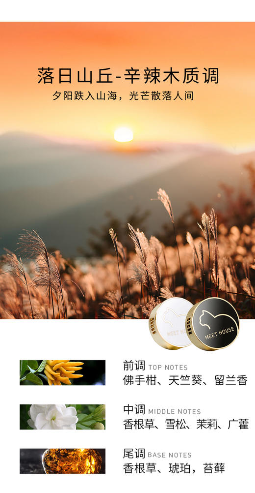 【新品上新】经典车载香薰补充香薰片（不含扩香器） 商品图8