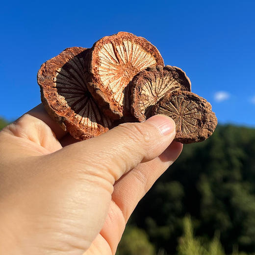 『云南野生大血藤』无熏染无添加，干燥切片，可煎汤、泡酒、煮蛋花汤、炖猪蹄 商品图4