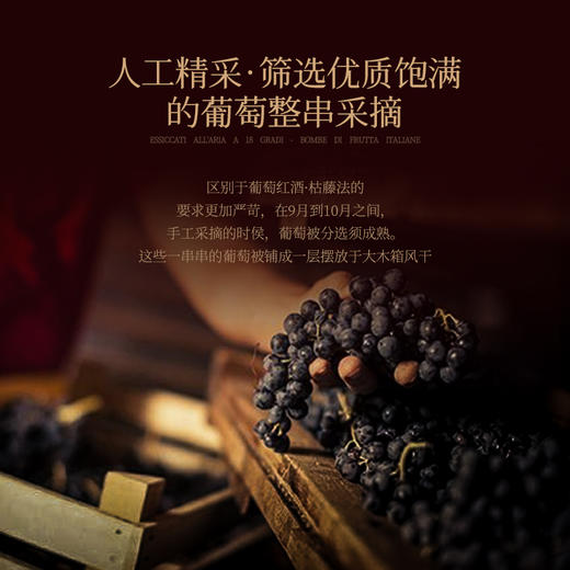 【庄主亲笔签名】菲特瓦诺蒂斯风干老藤干红葡萄酒 意大利进口 18%vol 商品图5