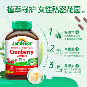 【私密呵护 增强女性免疫力】健美生Jamieson蔓越莓胶囊500mg60粒 20:1高浓度呵护成年女性私密健康
