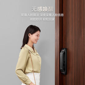 LR【德施曼华为智选pro指纹锁家用密码锁】DSM