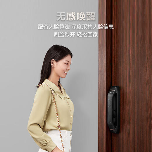 LR【德施曼华为智选pro指纹锁家用密码锁】DSM 商品图0