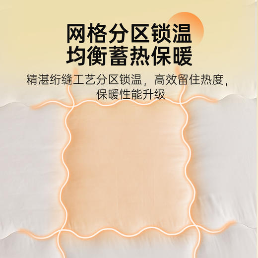 雅芳婷家纺 大豆纤维复合被 被子冬被 单双人冬天被芯加厚保暖连芯扣款 商品图3