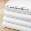 【分销】【99元三件装】YANECINE匹马棉长袖T恤 商品缩略图7