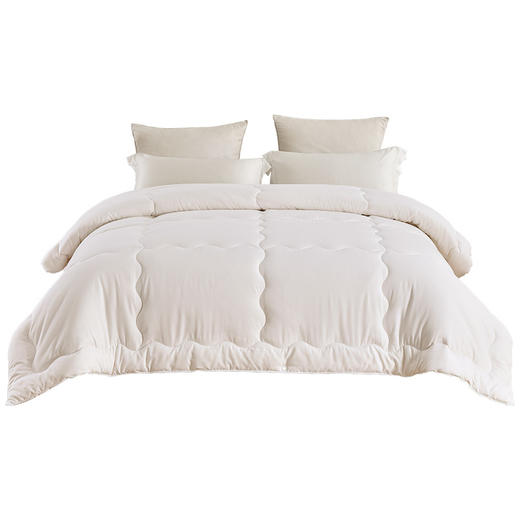 雅芳婷家纺 大豆纤维复合被 被子冬被 单双人冬天被芯加厚保暖连芯扣款 商品图4