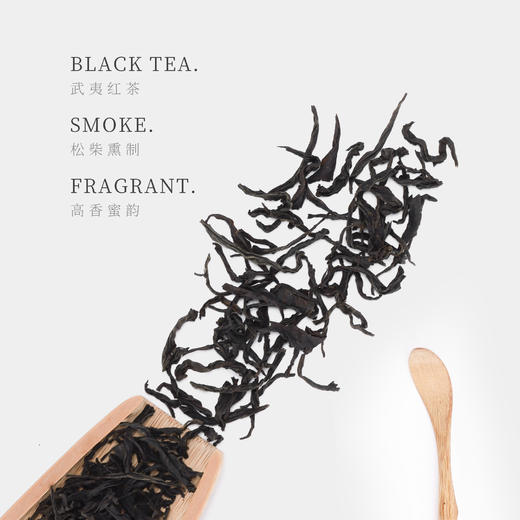 【观山社】香茜50g包邮 商品图1