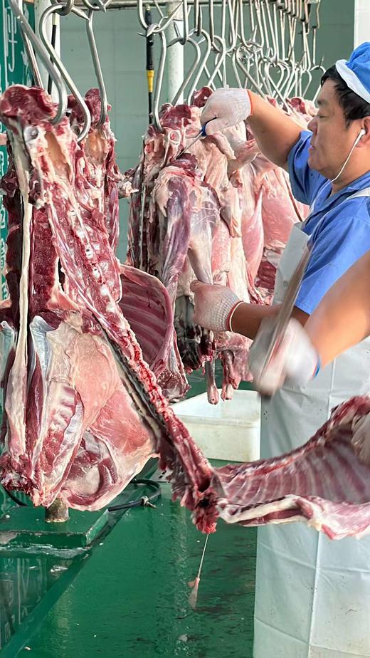 【小羊很行冬日暖胃】永太三叔自家草场散养，食百种中草药！ 商品图3