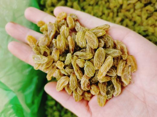 葡萄干2斤 商品图2