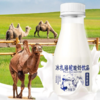 冰扎骆驼酸奶饮品丨 酸奶 骆驼奶 美味 冷罐 酸甜口味 商品缩略图0