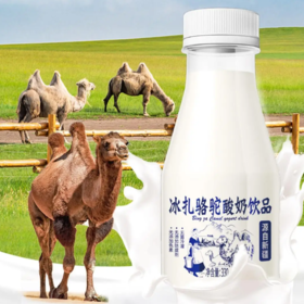 冰扎骆驼酸奶饮品丨 酸奶 骆驼奶 美味 冷罐 酸甜口味