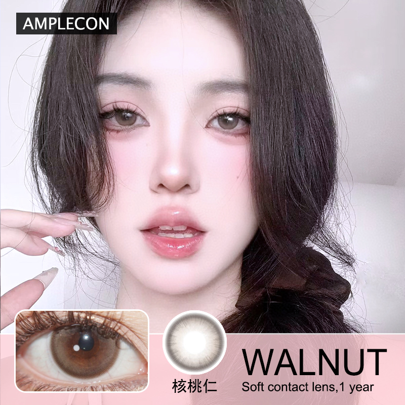 AMPLECON年抛隐形眼镜 核桃仁 一副/2片