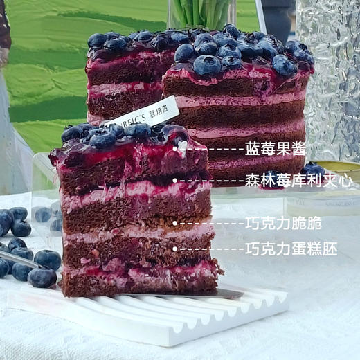 蓝莓多多S56（停用） 商品图1