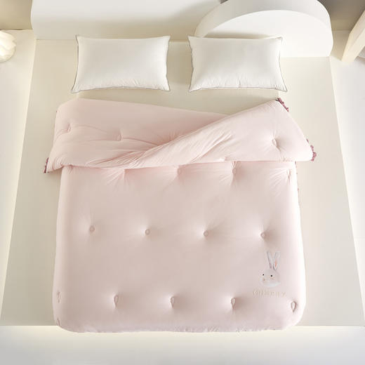 自然醒冬季A类云感亲肤被子被芯春秋被冬被单人加厚保暖抗菌款四季通用LFS 商品图10