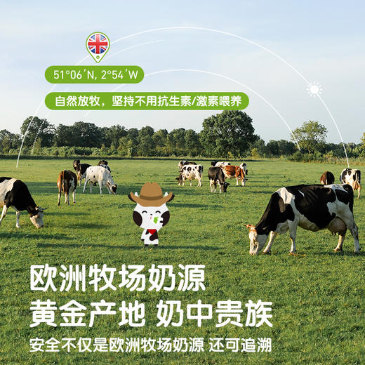 小皮希腊式生牛乳酸奶常温水果泥系列 商品图4