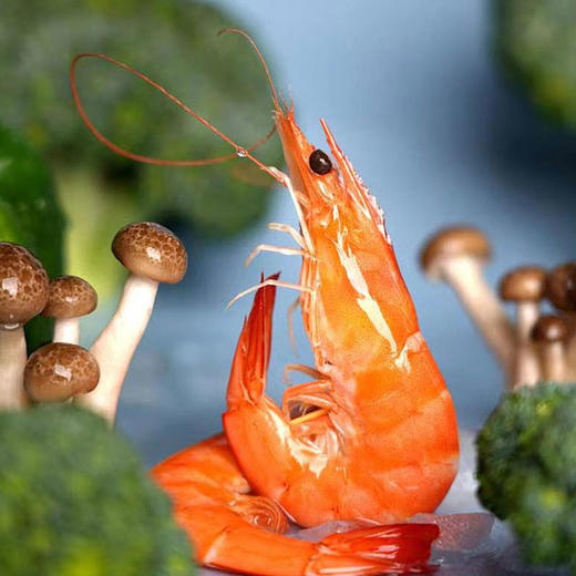 包邮【厂商直发】渤海水产盐田有机生态虾熟虾冻虾新鲜大虾 500g/盒*3盒 商品图4