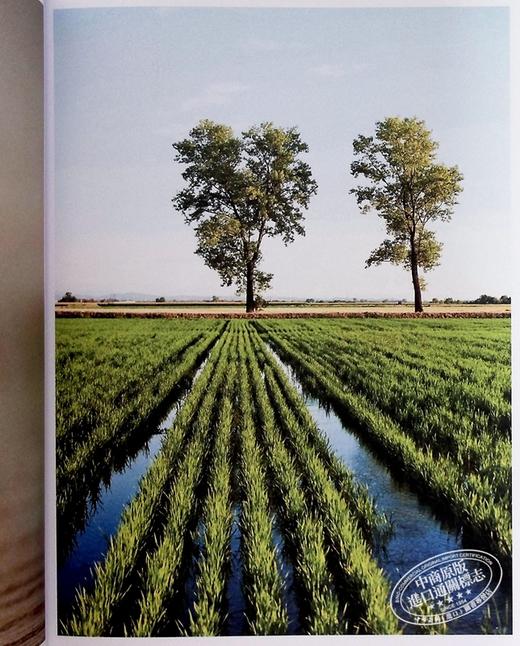 【中商原版】无麸质烘焙 Gluten Free Baking Recipes from the Famed Chambelland Bakers of Paris 英文原版 Nathaniel Dob 商品图4