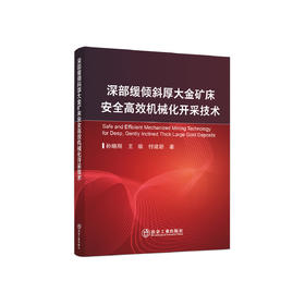 深部缓倾斜厚大金矿床安全高效机械化开采技术 / 孙晓刚,王瑜,付建新著