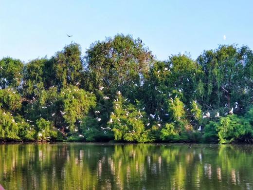 南沙湿地公园班级研学定制 商品图0