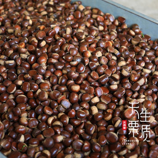 迁西鲜板栗  生吃脆甜 熟吃香甜粉糯 100项SGS检测  4斤装  每斤55粒左右 商品图4