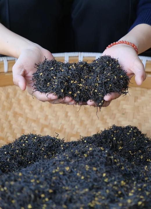 以茶为骨，以骨凝香！大师手作【桂花九曲红梅】灵甜桂子芳  手工古法窨制 花香袭人 回味悠远 商品图2