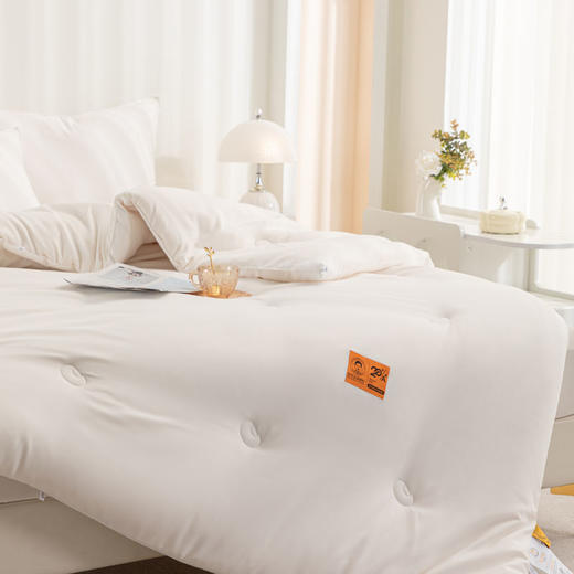 自然醒A类李官奇大豆纤维被子冬被加厚保暖冬季棉被四季通用单人被芯LFS 商品图8