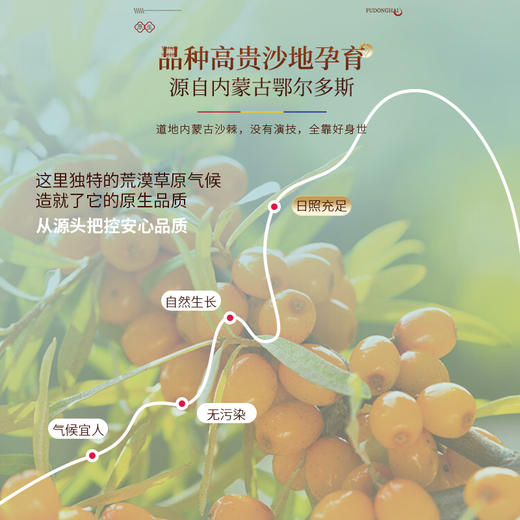福东海 沙棘原浆300ml（30ml *10袋 ）鲜果榨汁 开袋即饮 商品图5