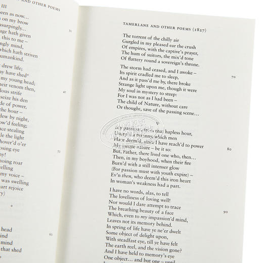 【中商原版】ALMA伟大诗歌系列 爱伦坡诗选 Great Poets Series The Raven and Other Poems 英文原版 Edgar Allan Poe 商品图2