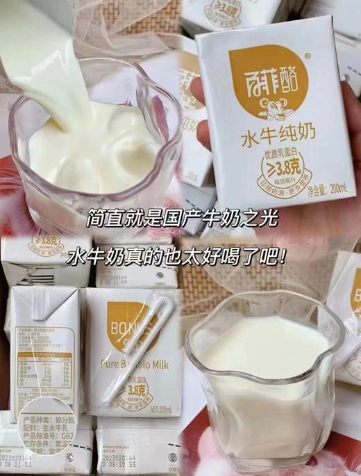 百菲酪水牛奶一箱 商品图3