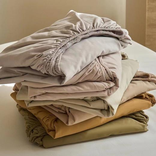 100S全棉磨毛单品床笠（无枕套） 温暖美拉德色系 蓄热锁温 商品图1
