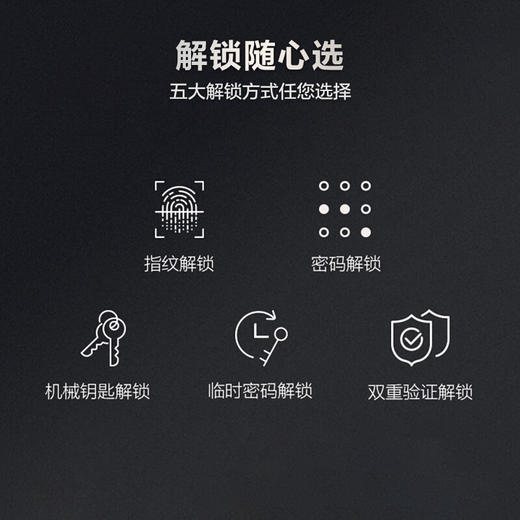 LR【德施曼华为智选pro指纹锁家用密码锁】DSM 商品图3