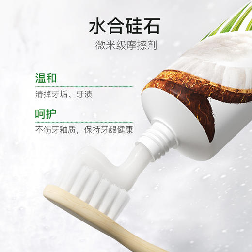 [屁侠推荐]ECODENTA 温和牙齿护理 清新口气 椰子健齿牙膏/黑炭闪白牙膏 /佛手柑炫白牙膏 商品图6
